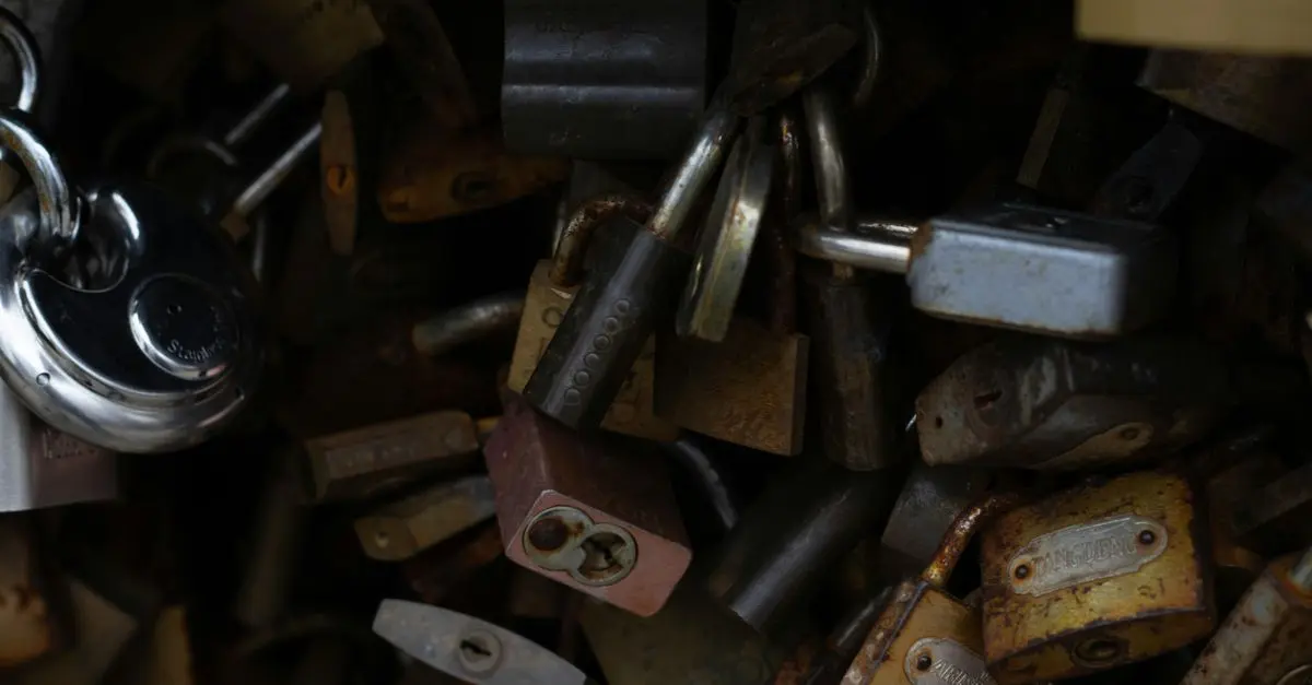 Comment Évaluer la Qualité d'un Serrurier Rapide à Paris